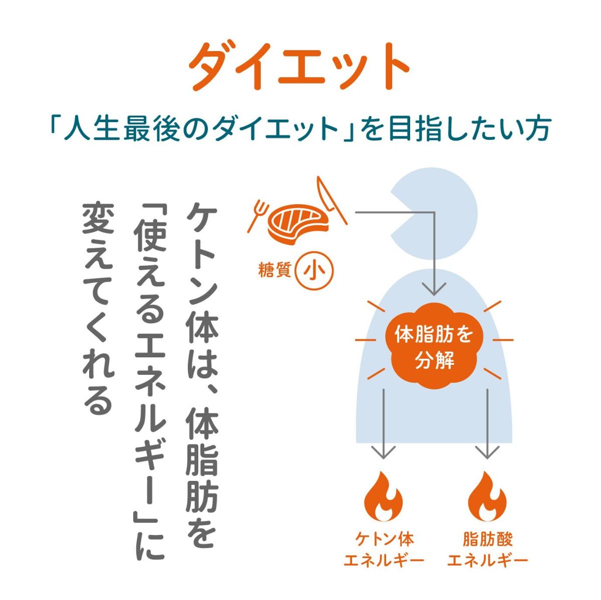 ケトジェニックダイエット