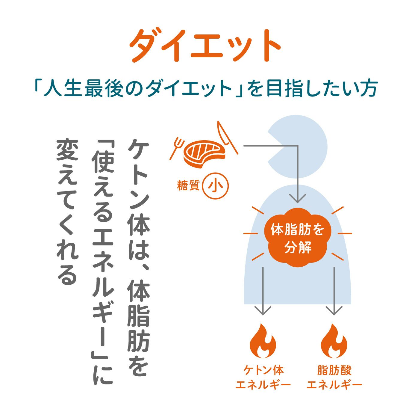 KETOSHOT（ケト・ショット）1箱10包x3箱|mdストア